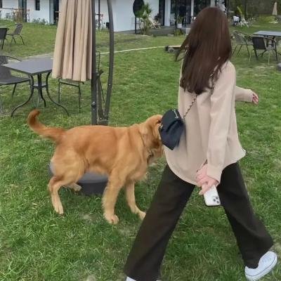 蓼云仙