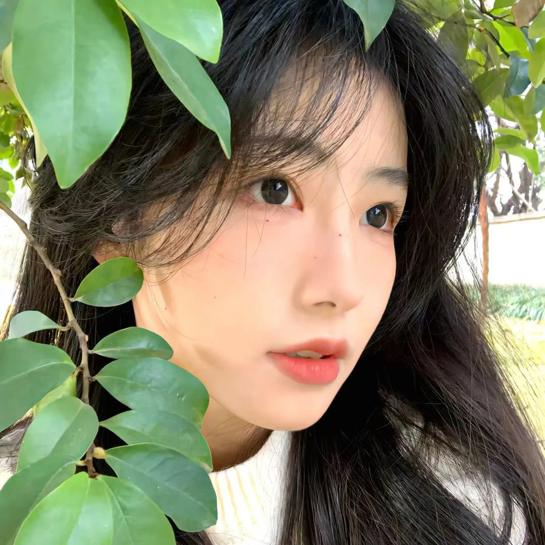 谍魂